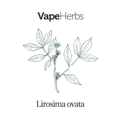 VapeHerbs – Muira puama 50g