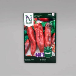 Spitzpaprika 'Thor' F1 Capsicum annuum