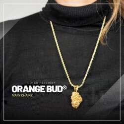 Orange Bud Anhänger Gold plattiert - Mary Chainz