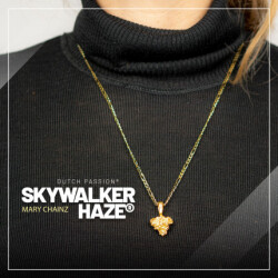 Skywalker Haze Anhänger Gold plattiert - Mary Chainz