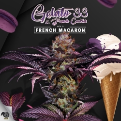 French Macaron - T.H. Seeds