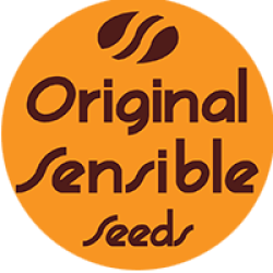 Auto CBG Nectar - Original Sensible Seeds