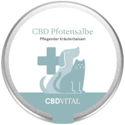 CBD Pfotensalbe