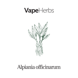 VapeHerbs – Echter Galgant 50g