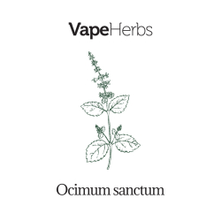 VapeHerbs – Tulsi – indisches Basilikum 15g