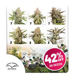 Autoflower Paket-Deal