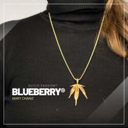 Blueberry Blatt Anhänger Gold plattiert - Mary Chainz