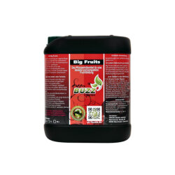 Green Buzz Nutrients Big Fruits 5L