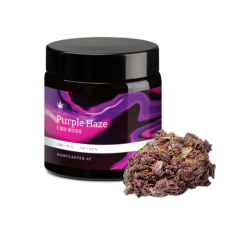 Purple Haze Premium Blüten