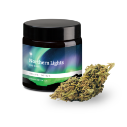 Northern Lights Premium CBD Blüten