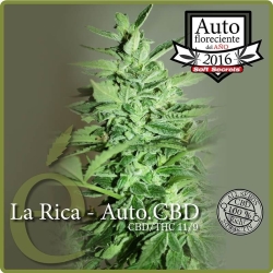 La Rica Auto CBD - éLite Seeds