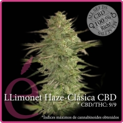 Llimonet Haze Classic CBD - éLite Seeds