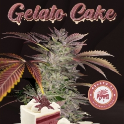 Gelato Cake - T.H. Seeds