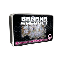 Banana Sherbet - Growers Choice