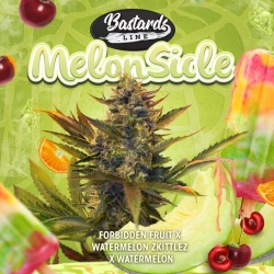 Melonsicle - T.H. Seeds