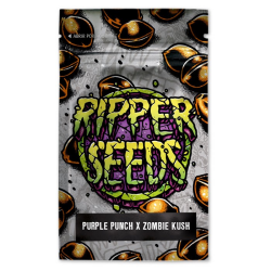 Limited Edition Zkittlez x Purple Punch - Ripper Seeds