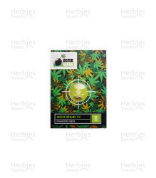 Medi Bomb 2 (Bomb Seeds) Cannabis-Samen