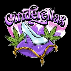 Cinderella's - Sumo Seeds