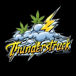 Thunderstruck - Sumo Seeds