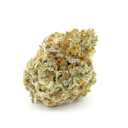 Forbidden Runtz - Growers Choice