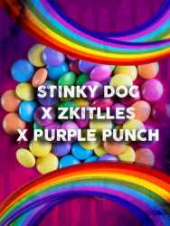 Stinky Dog-Skittles x Purple Punch - Tramuntana Seeds