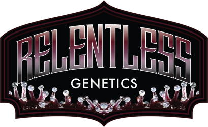 Flo Dough - Relentless Genetics