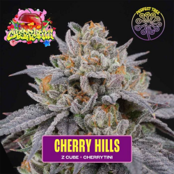 Cherry Hills - Perfect Tree Seeds