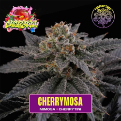 CherryMosa - Perfect Tree Seeds