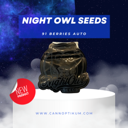 91 Berries Auto - Night Owl Seeds