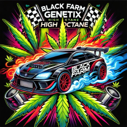 High Octane - Black Farm Genetix