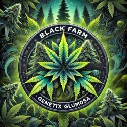 Glumosa - Black Farm Genetix