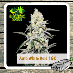 Auto White Gold 18K - Biological Seeds