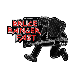 Bruce Banger FAST - Seedsman