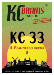 KC33 Reg. - KC Brains