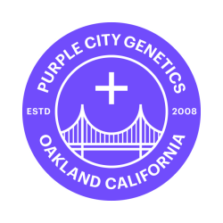 Chapel of Love - Purple City Genetics