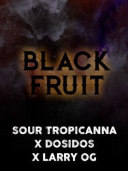 Black Fruit - Tramuntana