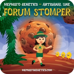 Forum Stomper Auto - Mephisto Genetics