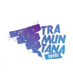 Slushy - Tramuntana