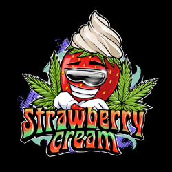 Strawberry Cream - Sumo Seeds