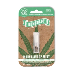 Mountaintop Mint - Humboldt Seeds Company