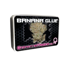 Banana Glue - Growers Choice