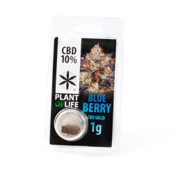 Blueberry 10% CBD Pollen - Plant of Life