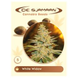 White Widow - De Sjamaan Seeds