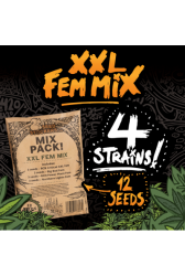 XXL Fem Mix Pack - Seedstockers