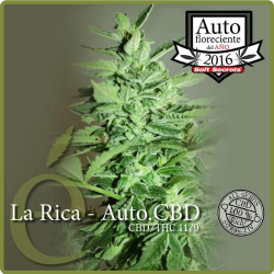 La Rica Auto CBD - élite Seeds