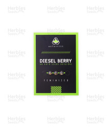 Diesel Berry Auto (Auto Seeds) Cannabis-Samen