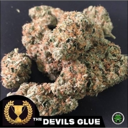 Devil's Glue - Devil's Harvest Seeds