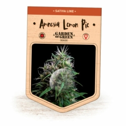 Amnesia Lemon Pie - Garden of Green