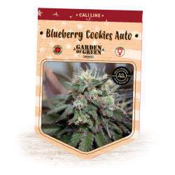 Blueberry Cookies Auto - Garden of Green