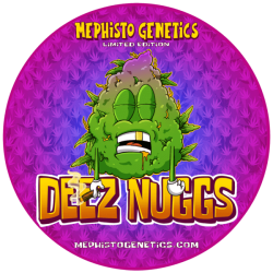 Deez Nuggs Auto - Mephisto Genetics